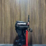 2010 Evinrude E-TEC 25 HP EFI outboard engine.