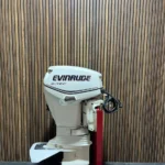 2009 Evinrude E-TEC 50 HP outboard engine.