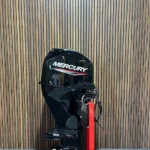 2025 Mercury 60 HP EFI outboard engine.