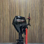 2025 Mercury F25 ELHPT outboard engine.