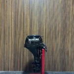 2025 Suzuki 20 HP EFI outboard engine.