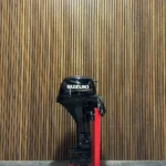 2021 Suzuki DF15A outboard engine.
