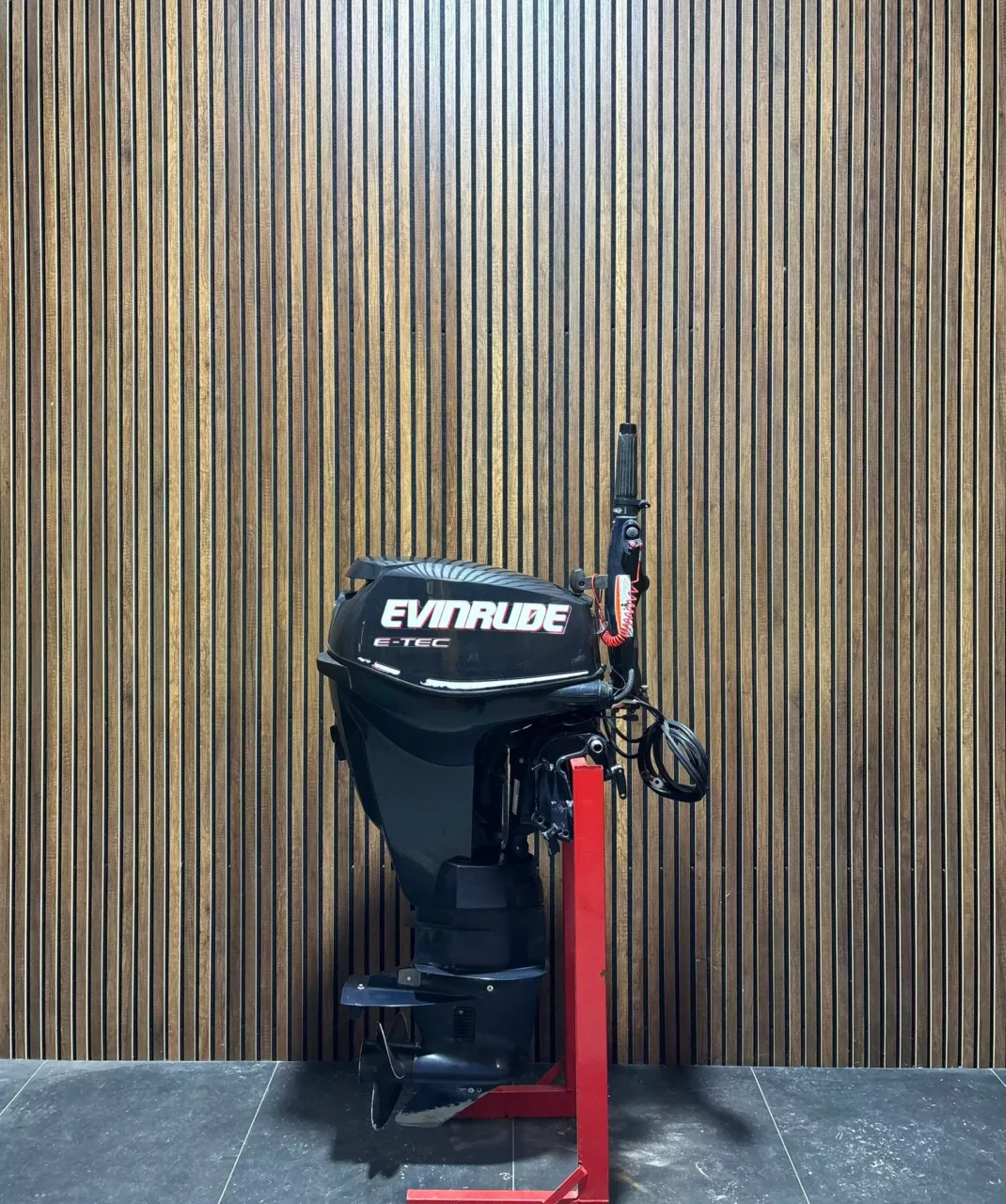2010 Evinrude E-TEC 25 HP EFI outboard engine.